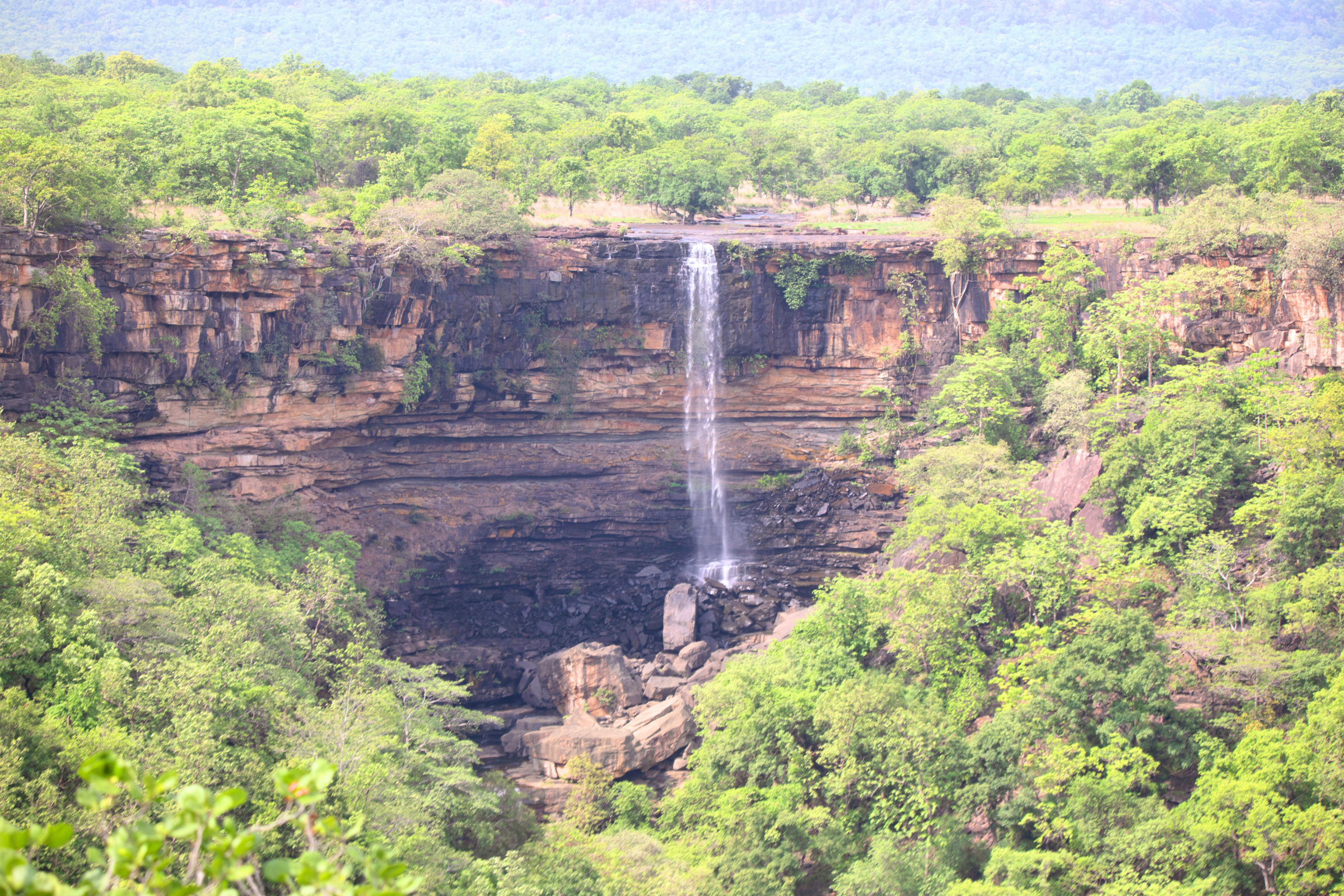 panna tiger reserve (4).webp